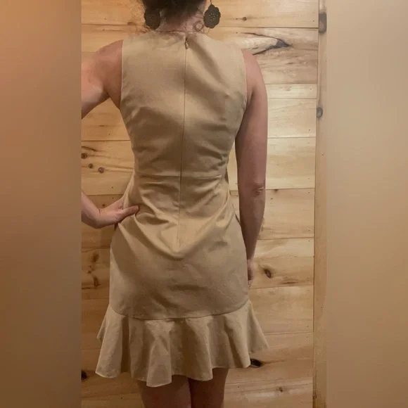 J. Crew Tan Stretchy Dress Size 4P. - Picture 1 of 10